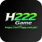 H222 Game