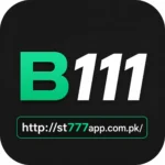 B111 game