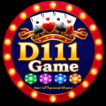 D111 Game