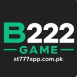 B222 Game